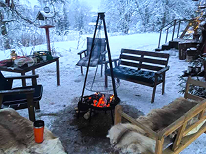 Dog sled ride