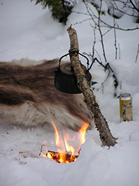 Wilderness Lunch Sled Dog Tour