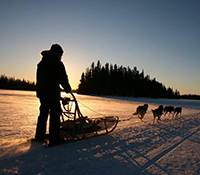 Mushing Adventure Strömsund