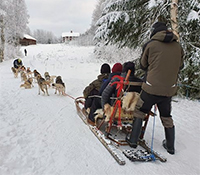 Dog Sled Ride