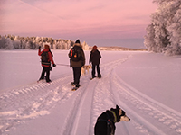 Husky & Snowshoe Adventure