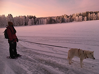 Husky & Snowshoe Adventure